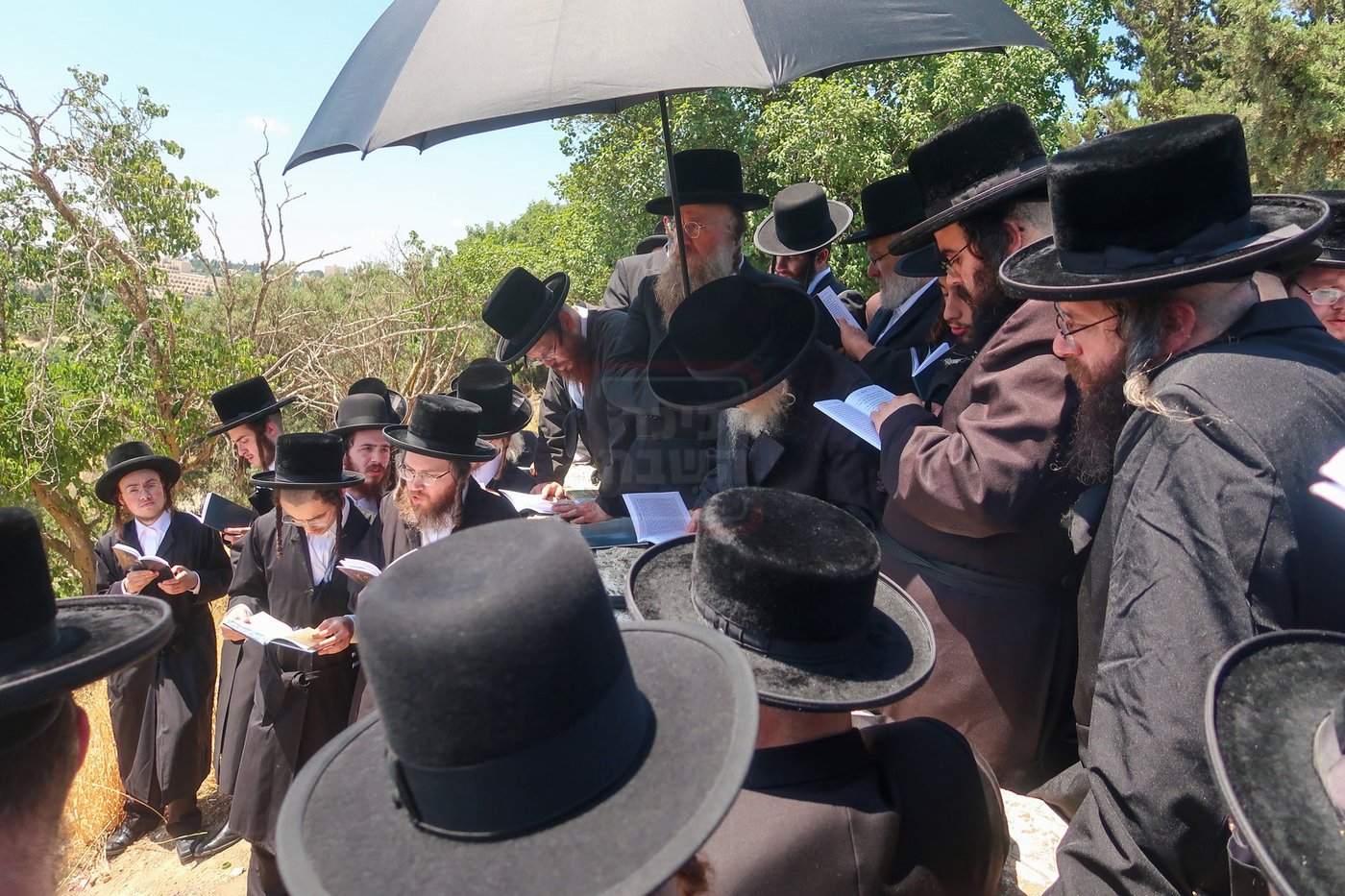 האדמו"ר מסערדאהעלי בהר הצופים