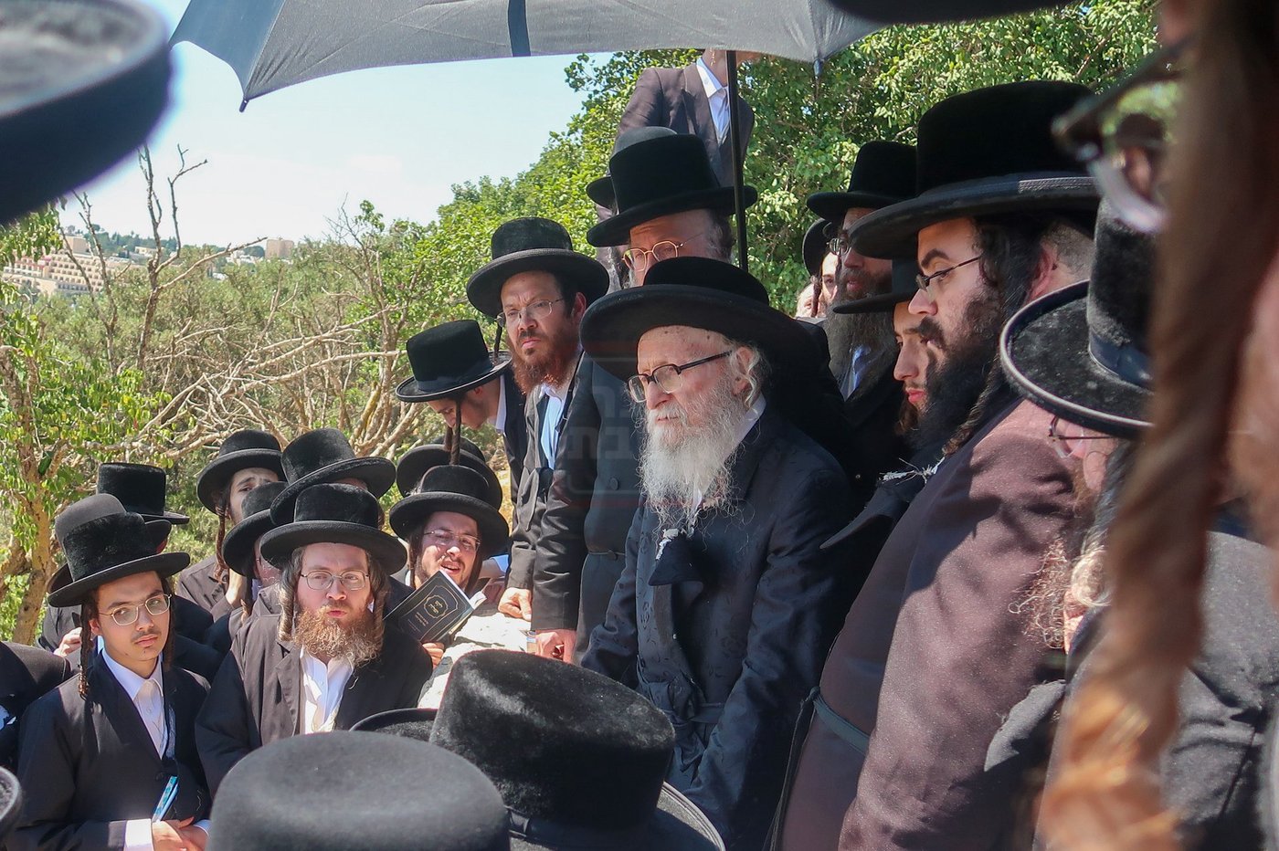 האדמו"ר מסערדאהעלי בהר הצופים