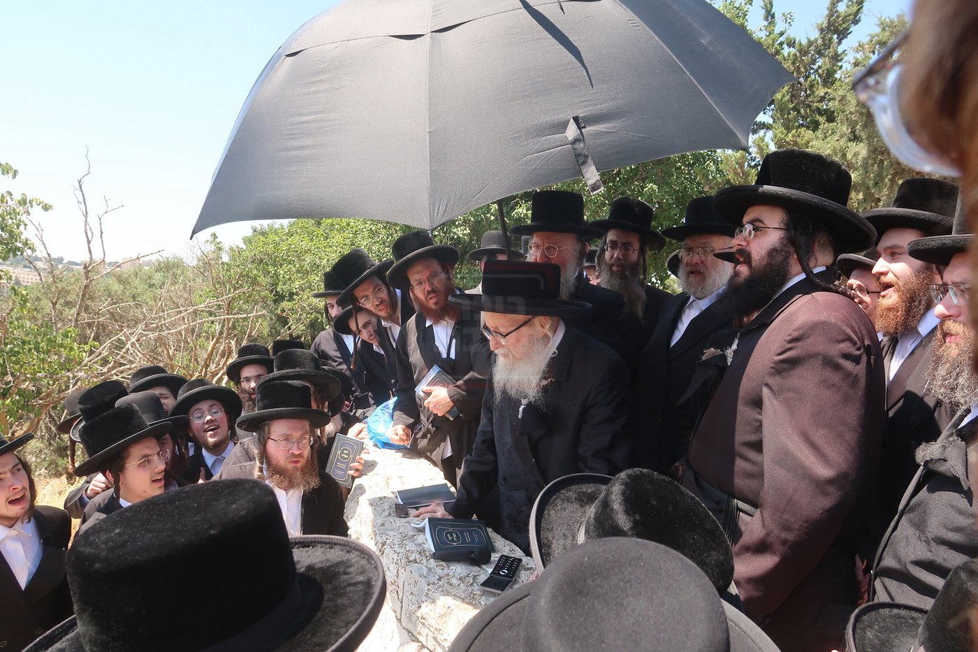 האדמו"ר מסערדאהעלי בהר הצופים