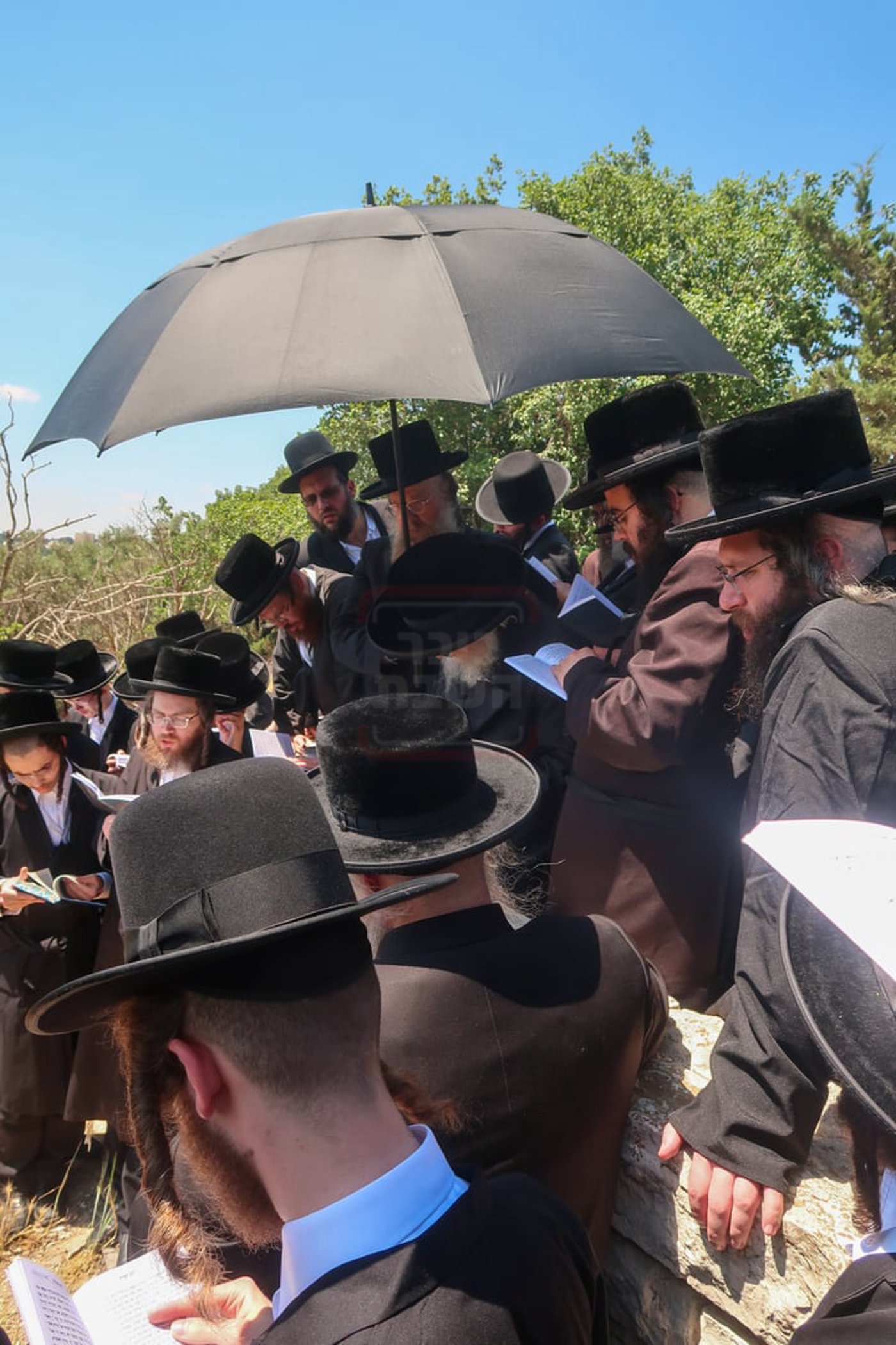 האדמו"ר מסערדאהעלי בהר הצופים