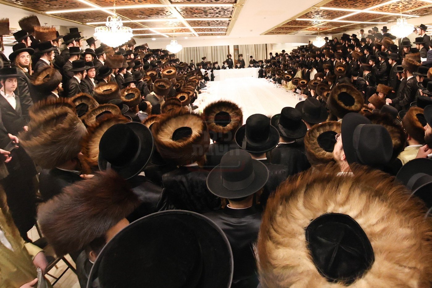 האדמו"ר מסערדאהעלי במוצ"ש בירושלים