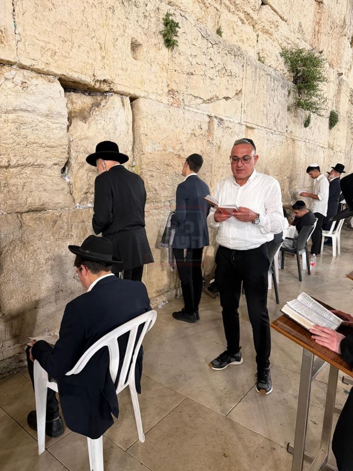 פרנסי העיר חגגו את גשר המחלוקת | 'זיידל'ע' עם כל התמונות, הנייעס והחשיפות של השבוע