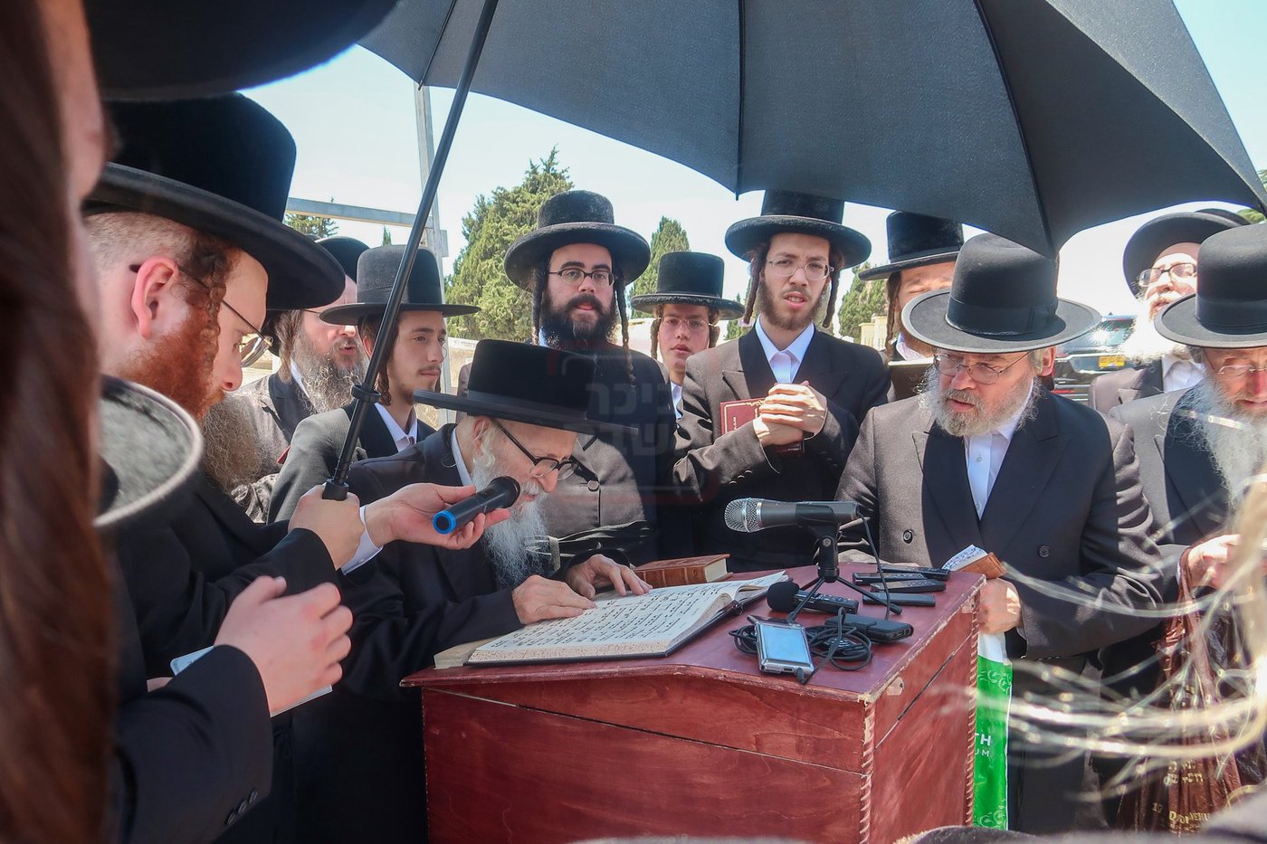 האדמו''ר מסערדאהעלי בארה"ק