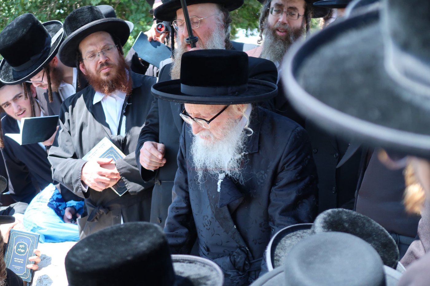 האדמו''ר מסערדאהעלי בארה"ק