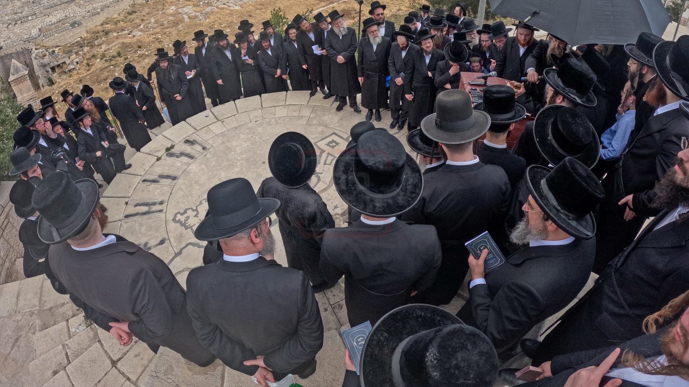 האדמו''ר מסערדאהעלי בארה"ק