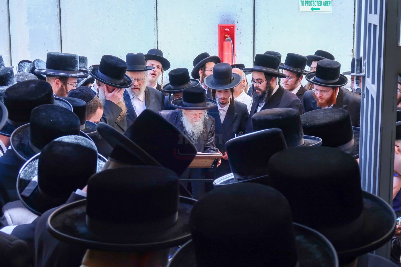 האדמו''ר מסערדאהעלי בארה"ק