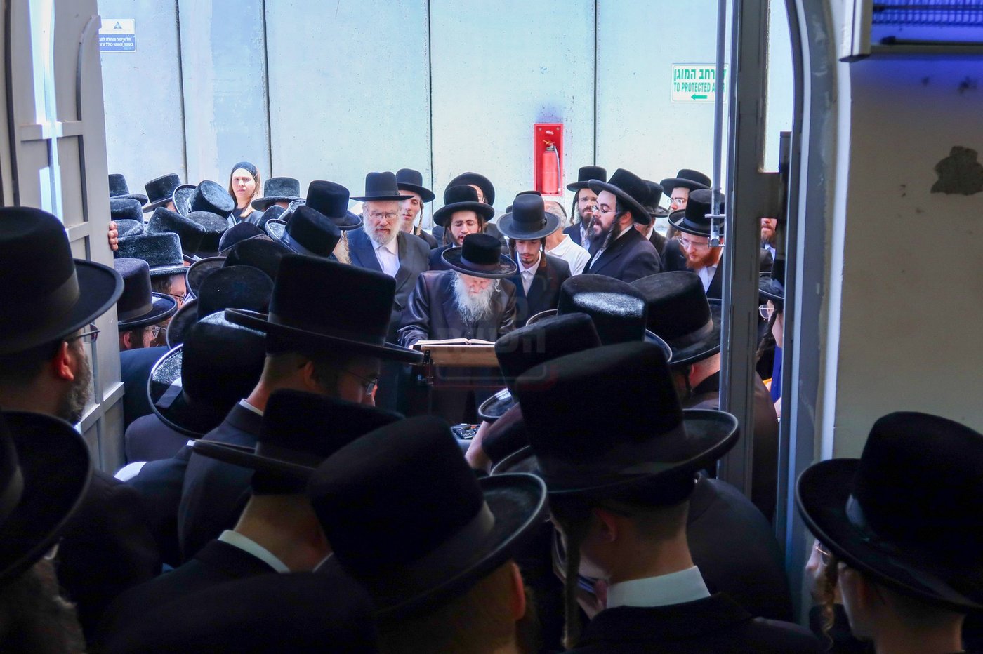 האדמו''ר מסערדאהעלי בארה"ק
