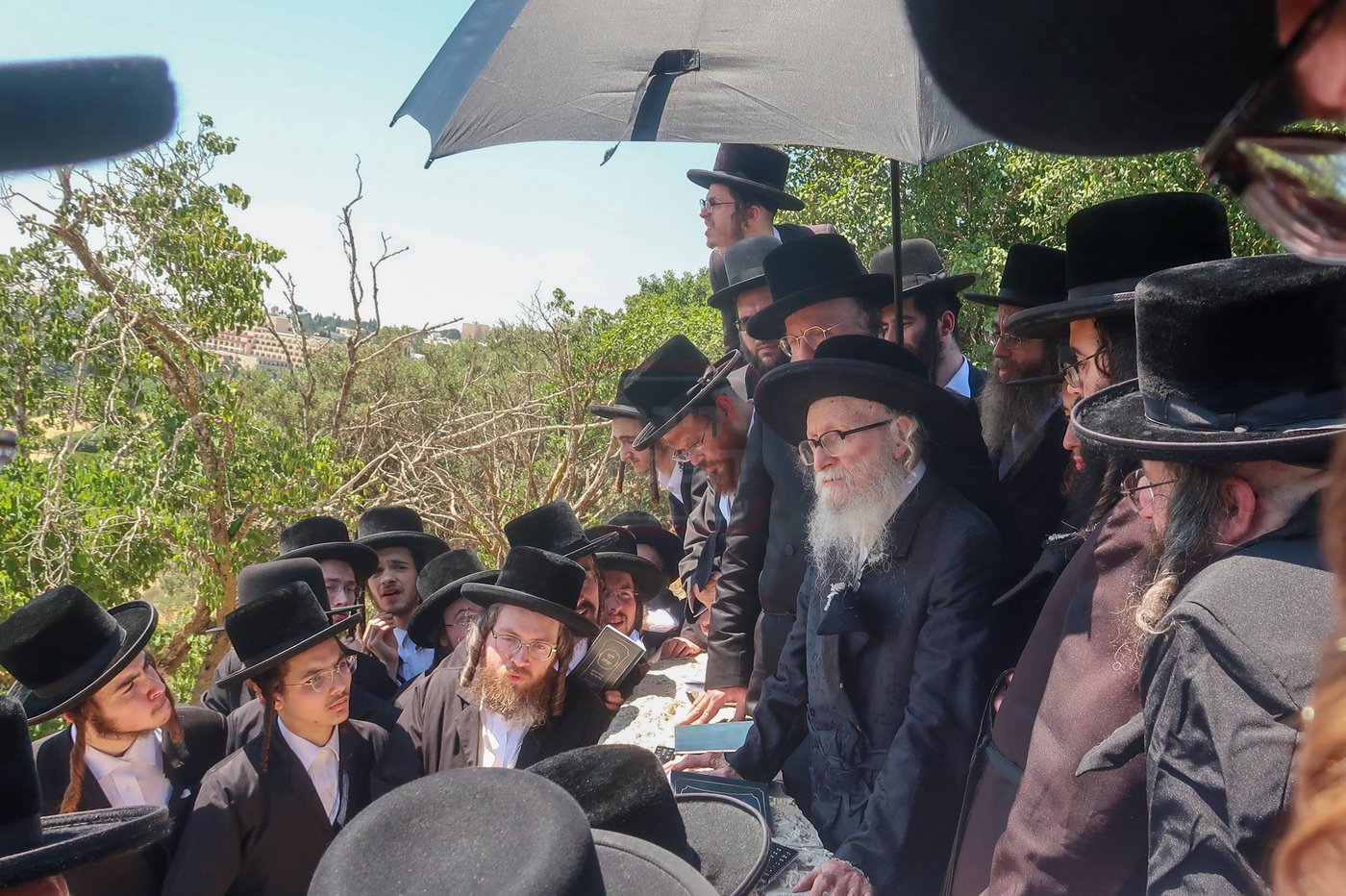 האדמו''ר מסערדאהעלי בארה"ק