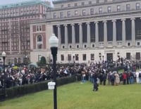 הפגנות חמאס באוניברסיטה בארה"ב