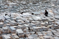 הר הזיתים | ארכיון