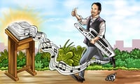 הקשר בין מגילת רות לחג השבועות