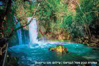 אפשר לטייל וליהנות - גם בלי רכב | אלו אתרי המים ושמורות הטבע הנגישים בתחבורה ציבורית