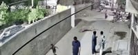 תיעוד מלחיץ: אריה ׳המחמד׳ התנפל על הולכי רגל באמצע הרחוב - שלושה נפצעו 