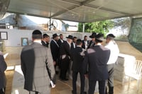 הילולת הצדיק מעג'ור