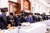 שמחת פדיון הבן לנין האדמו"ר מבאבוב 45