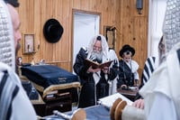 ראש חודש אלול בצל האדמו"ר מבאבוב