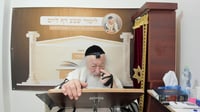 בואו לסיים ש"ס תוך שנה | השיעור היום: מסכת זבחים ו'-י"ג