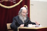 הגה"צ רבי אלימלך בידרמן בשיעור תורה בחוה"מ סוכות