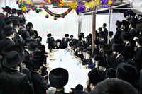 טיש הושענא רבה בחצה"ק מודז'יץ