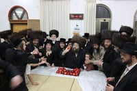 ירח האיתנים בחצה"ק צאנז ז'מיגראד