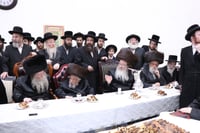 ברית בשמחת הברית בחצרות קוזמיר - ביאלה - קופיטשניץ - לעלוב בית שמש