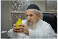 הגאון רבי דב לנדו בבדיקת אתרוגים
