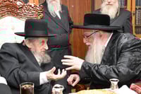 האדמו"ר מצאנז עם הגר"ד לנדו