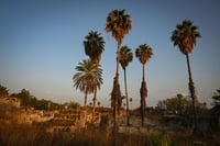 התחזית: חם מהרגיל עד שרבי בכל אזורי הארץ; מתי החורף יחזור?