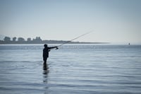 הכנרת, אתמול