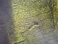 משטרת ירושלים עצרה שני קטינים שיידו אבנים ובקבוקים בעיר העתיקה