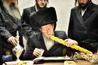 האדמו"ר מאלכסנדר ארה"ב במוצשב"ק בב"ב