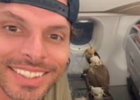 התייר ההולנדי והבזים שישבו במטוס