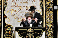 האדמו"ר מויזניץ בבית מדרשו