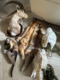 הממצאים שנתפסו בבית החשוד