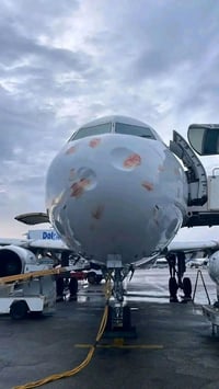 המטוס לאחר פגיעת העופות