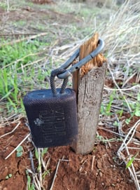 החוחיות שנתפסו