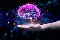 הדמייה של מוח 