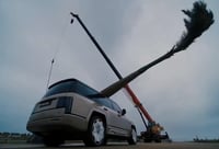 מבחן קשיחות קיצוני: איך רכב השטח היוקרתי של BYD שרד פגיעה של 2 טון עץ דקל - צפו