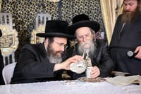 תחילת ימי השובבי"ם בערלוי