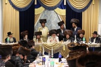 הילולא קדישא בשאץ דרהביטש