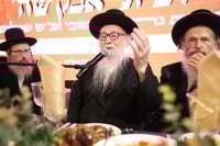 הגה"צ רבי נתן ליברמנש