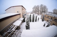 הילולת ה'בני יששכר' בדינוב