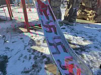 צלבי הקרס על המגלשה