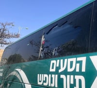 החלון השבור, כתוצאה מזריקת האבנים