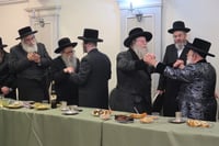 שמחת התנאים בבית מישקולץ - קוזמיר