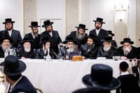 שמחת התנאים בבית סאטמאר - סיגוט - ספינקא - פאפא בארא פארק