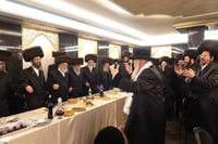 שמחת השבע ברכות בחצרות זוועהיל - טרעבישאן -פינסק קרלין