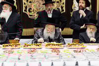 האדמו"ר מבאבוב בטיש ט"ו בשבט