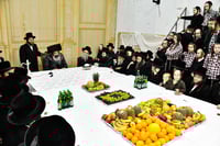 האדמו"ר מזוטשקא בטיש ט"ו בשבט