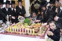 חמשה עשר בשבט בחצה"ק בוסטון ביתר